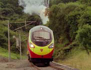 Paints coatings train cars railway railways